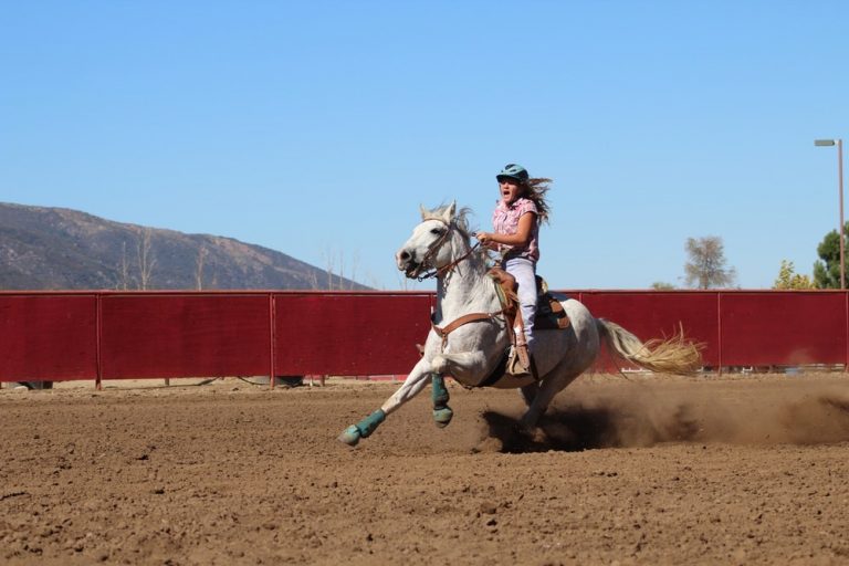 Comment créer un club d’équitation ?