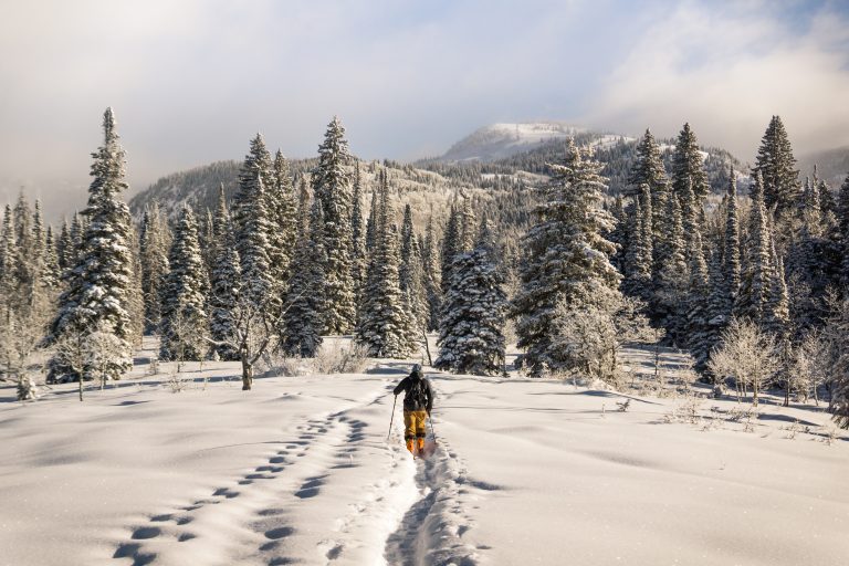 Où et quand partir skier au Japon ?